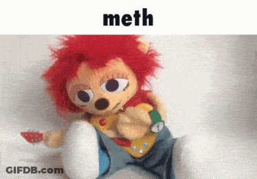 A Stuffed Animal Is Playing A Guitar And Has The Word Meth On The Bottom GIF