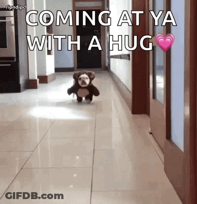 A Stuffed Animal Is Running Down A Hallway With The Words Coming At Ya With A Hug Above It GIF