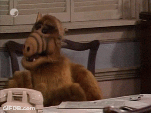 A Stuffed Animal Is Sitting At A Desk With A Telephone In Front Of It . GIF