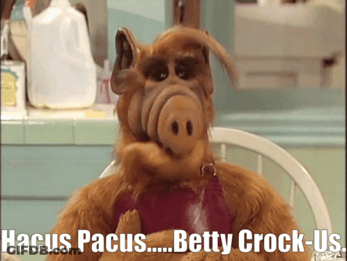 A Stuffed Animal Is Sitting In A Chair With The Words " Hacus Pacus Betty Crock-Us " On The Bottom GIF