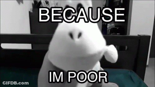 A Stuffed Animal Is Sitting On A Bed With The Words Because Im Poor Below It GIF