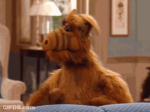 A Stuffed Animal Is Sitting On A Blue Polka Dot Couch In A Living Room GIF