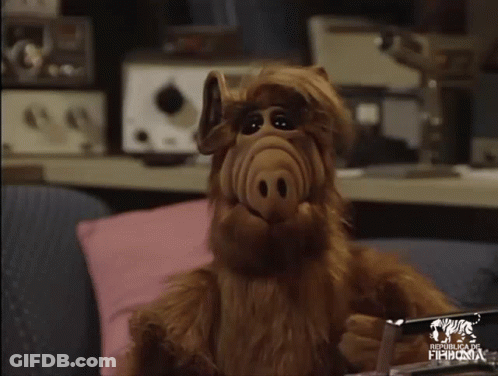 A Stuffed Animal Is Sitting On A Couch In Front Of A Republica De Fihdoria Sign GIF