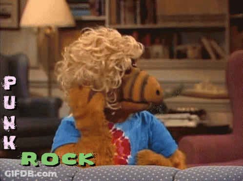 A Stuffed Animal Is Sitting On A Couch With The Words Punk Rock Written On It GIF