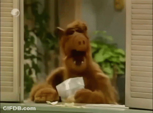 A Stuffed Animal Is Sitting On A Window Sill Eating A Piece Of Food . GIF