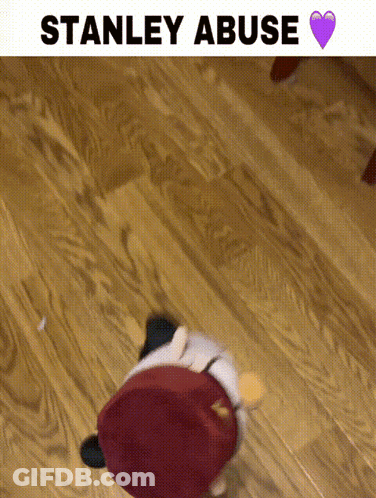 A Stuffed Animal Is Sitting On A Wooden Floor With The Words Stanley Abuse Below It GIF