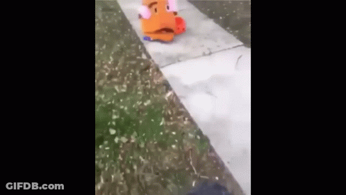 A Stuffed Animal Is Sitting On The Sidewalk Next To A Person 'S Foot . GIF