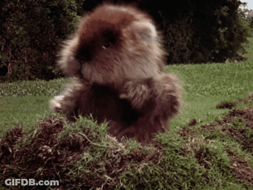 A Stuffed Animal Is Standing In A Pile Of Grass And Dirt GIF