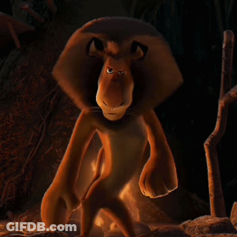 A Stuffed Animal Is Standing In Front Of A Campfire GIF