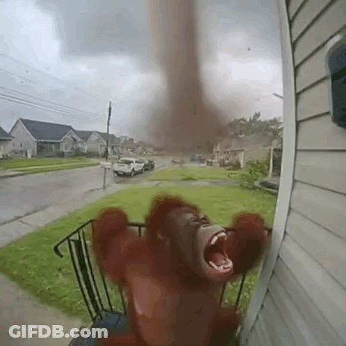 A Stuffed Animal Is Standing In Front Of A House With Its Mouth Open And A Tornado In The Background . GIF