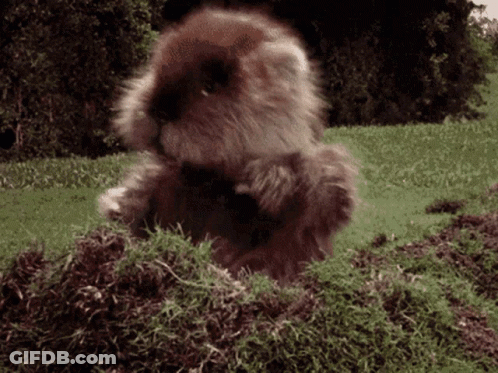 A Stuffed Animal Is Standing On A Pile Of Grass And Dirt GIF