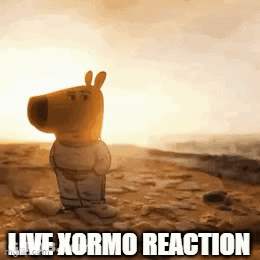 A Stuffed Animal Is Standing On A Rocky Beach With The Words Live Xormo Reaction Below It GIF