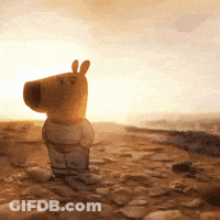 A Stuffed Animal Is Standing On A Rocky Shoreline At Sunset GIF