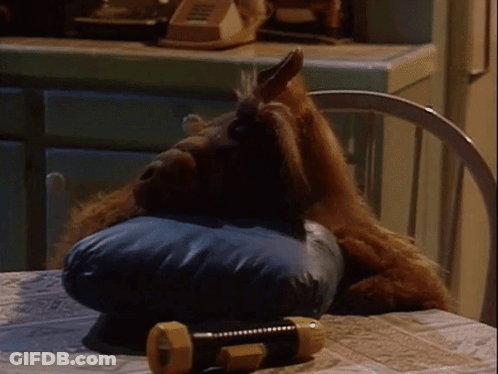 A Stuffed Animal Laying On A Blue Pillow Next To A Dumbbell GIF