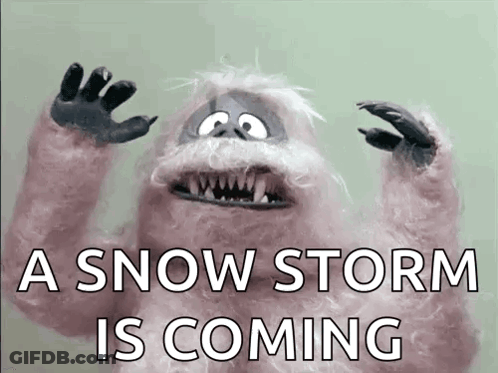 A Stuffed Animal Says A Snow Storm Is Coming With Its Hands In The Air GIF