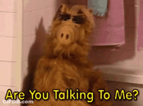 A Stuffed Animal Says " Are You Talking To Me " In Front Of A Pink Wall GIF