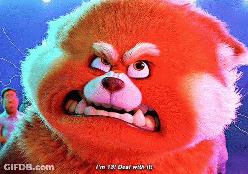 A Stuffed Animal Says I 'M 13 Deal With It In Front Of A Man GIF