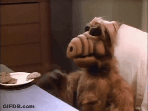 A Stuffed Animal Sitting At A Table Next To A Plate Of Cookies . GIF