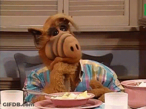 A Stuffed Animal Sitting At A Table With A Bowl Of Food In Front Of Him GIF