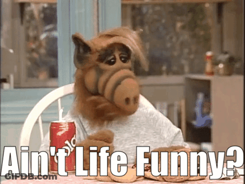 A Stuffed Animal Sitting At A Table With A Can Of Soda And The Words Ain T Life Funny GIF