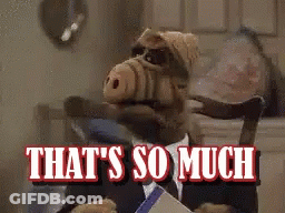 A Stuffed Animal Sitting In A Chair With The Words That 'S So Much Written Above It GIF