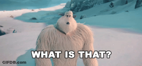 A Stuffed Animal Standing In The Snow With The Words What Is That Written Below It GIF