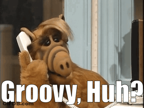 A Stuffed Animal Talking On A Phone With The Words Groovy Huh On The Bottom GIF