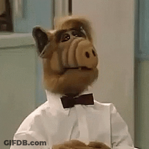 A Stuffed Animal Wearing A Bow Tie And A White Shirt Is Holding A Plate . GIF
