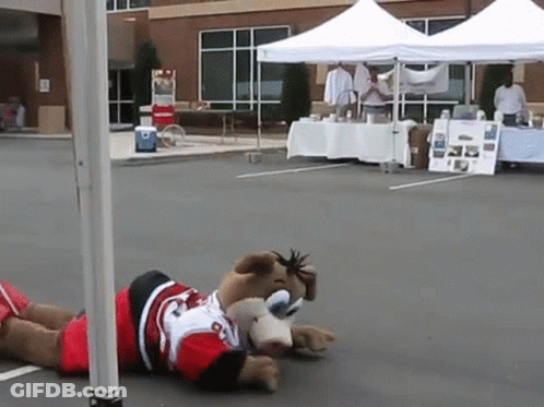 A Stuffed Animal Wearing A Jersey With The Number 8 Is Laying On The Ground GIF