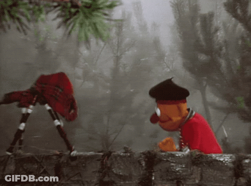 A Stuffed Animal Wearing A Red Shirt And A Black Hat Is Playing A Bagpipe GIF