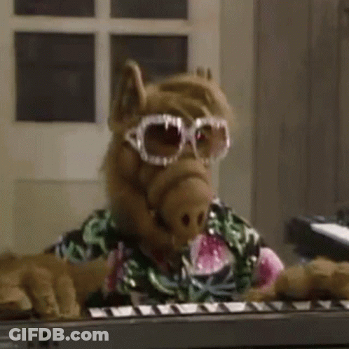 A Stuffed Animal Wearing Sunglasses And A Shirt Is Sitting At A Keyboard . GIF