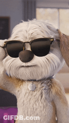 A Stuffed Animal Wearing Sunglasses Has A Tag On It GIF