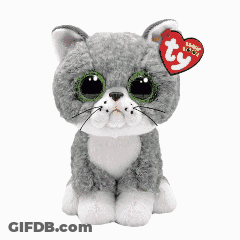 A Stuffed Animal With A Beanie Boo Tag On Its Head GIF