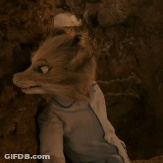 A Stuffed Animal With A Blue Shirt On Is Sitting In A Cave GIF