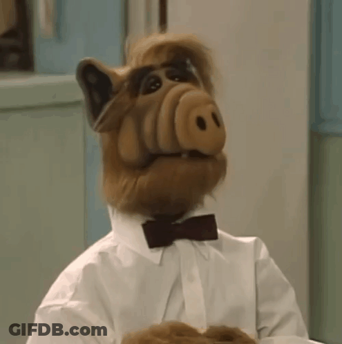 A Stuffed Animal With A Bow Tie And A White Shirt . GIF