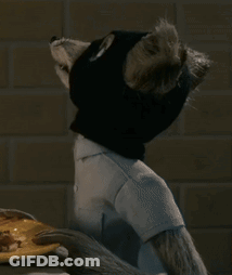 A Stuffed Animal With A Cat 'S Head Is Sitting In Front Of A Plate Of Food GIF
