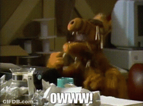 A Stuffed Animal With A Donut In Its Mouth Is Sitting At A Table With The Words Owww On It GIF
