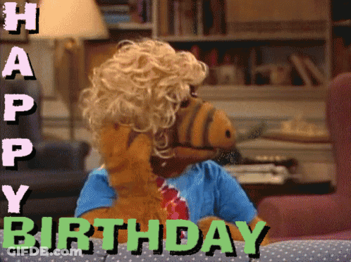 A Stuffed Animal With A Wig And The Words Happy Birthday GIF