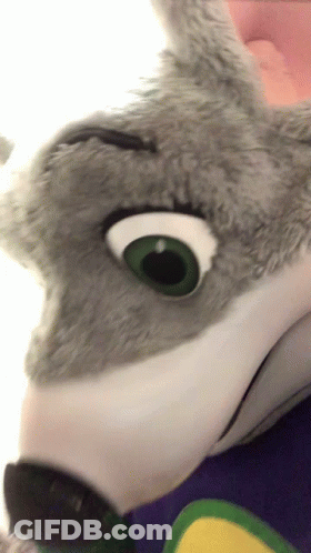 A Stuffed Animal With Green Eyes Is Being Held By Someone GIF