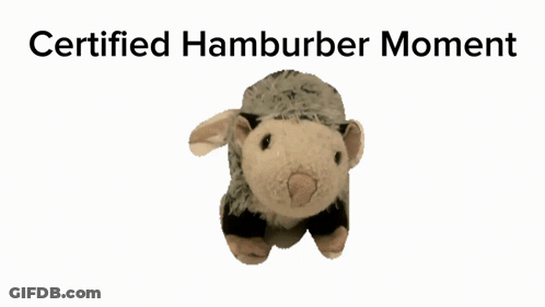 A Stuffed Animal With The Words Certified Hamburger Moment GIF