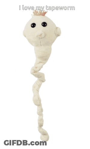 A Stuffed Animal With The Words I Love My Tapeworm On It GIF