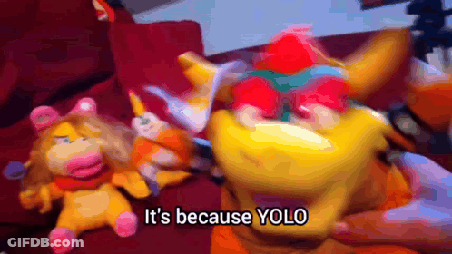 A Stuffed Animal With The Words " It 'S Because Yolo " On It GIF