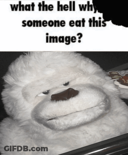 A Stuffed Animal With The Words What The Hell Why Someone Eat This Image Written Above It GIF