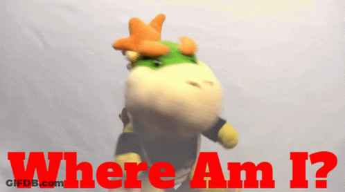 A Stuffed Animal With The Words " Where Am I " Written On It GIF
