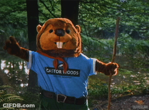 A Stuffed Beaver Wearing A Castor Woods Shirt GIF