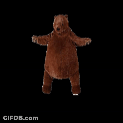 A Stuffed Brown Bear With Its Arms Outstretched GIF