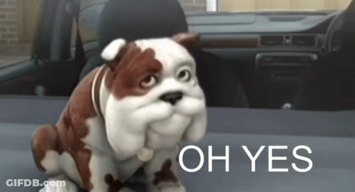 A Stuffed Bulldog Is Sitting In The Back Seat Of A Car With The Words Oh Yes Behind It GIF