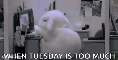 A Stuffed Bunny Is Sitting In Front Of A Computer In An Office . GIF