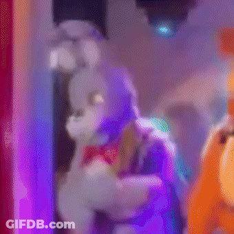 Stuffed Bunny Standing In Front Of Stage GIF