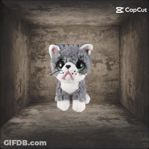 A Stuffed Cat With Green Eyes Is Sitting In A Dark Room With Capcut Written On The Bottom GIF